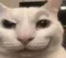 calc