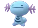 wooper
