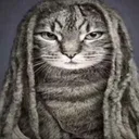 cat_reggae