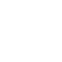X1