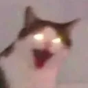 emoji_22