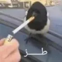 __