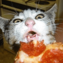 9961pizzacat Discord emoji