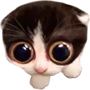 MONKA
