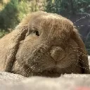 unit