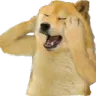cdnahiii cdnahiii