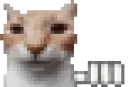 waitingcat