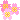 04_flowersbloom