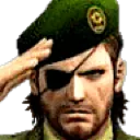 salute