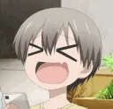 XDD