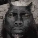stupidfuckingcat