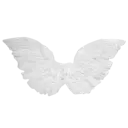 4_whitebutterfly
