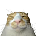 stare stare