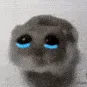 hamstercry hamstercry