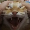 AAAAA