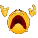 Whyy