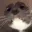 wthcat