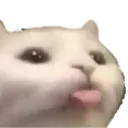 bleh