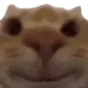 catSmile