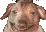 creatureAgonizing