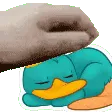 PerryPat