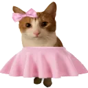 M_catBow