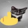 fucku fucku