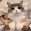 emoji_1738495474050