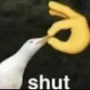 SHUT