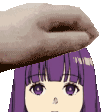 FernPat