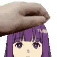 FernPat