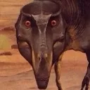 juveniletrexstare