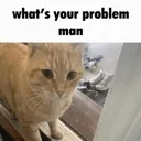 whatsurproblem