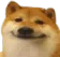 doge_bruh