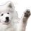 1170551660058259476