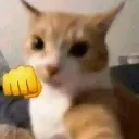 AngryKitty