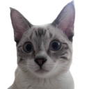 Mao Discord emoji