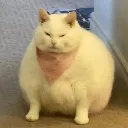 FattybutEmoji FattybutEmoji