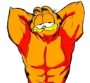 garflex