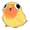wiggle