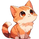 orangekitty