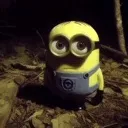 minion_despair minion_despair