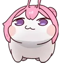 dorosmug dorosmug