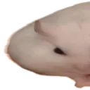 MilaWide1