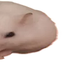 MilaWide2