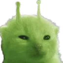 glorp