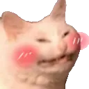 blushs