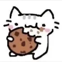 NOMNOM_cat