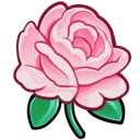 a_flowerrose