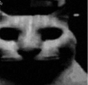 catdespair Discord emoji